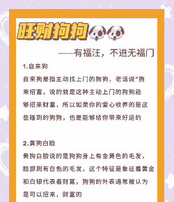 养什么宠物狗赚钱