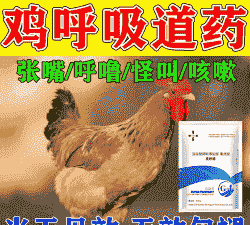 鸡张嘴喘气用什么药