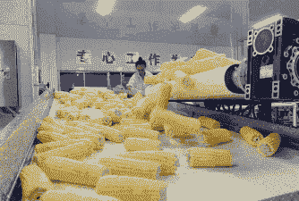 玉米加工成什么利润高