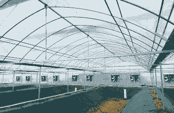 有什么养殖的好项目