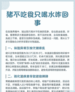 猪不吃不喝是什么原因