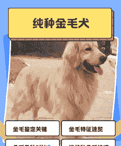 养殖什么狗最赚钱