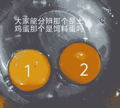 饲料鸡蛋有什么危害