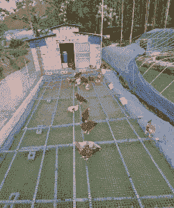 低成本养殖什么