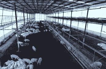 什么地方可以养猪