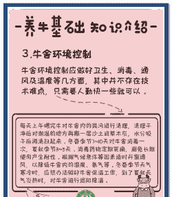 养牛要注意什么