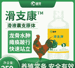 鸡瘸腿病用什么药