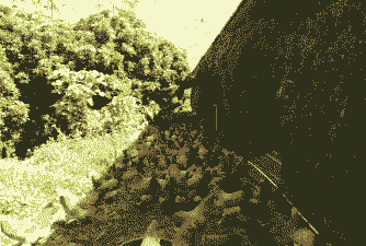 南方养殖什么好