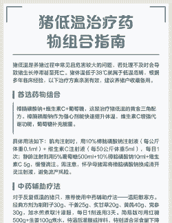 小猪低温用什么药