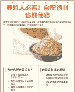 养鸡给鸡吃什么最省钱