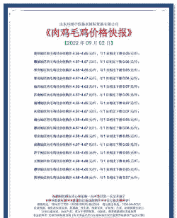 鸡价什么时候上涨