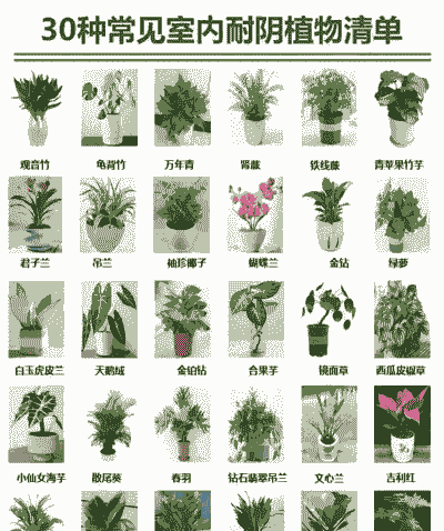 养殖养什么好呢