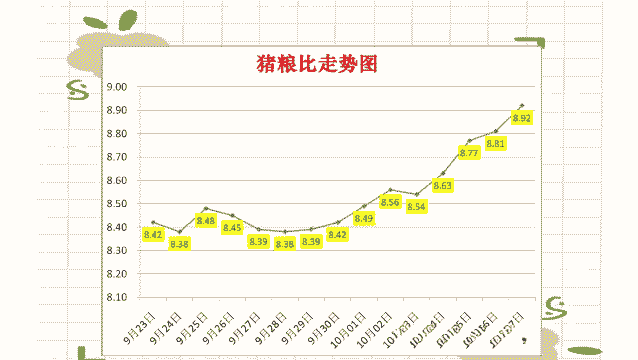 全国大猪什么走势