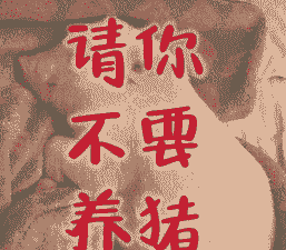 不让养猪了搞什么