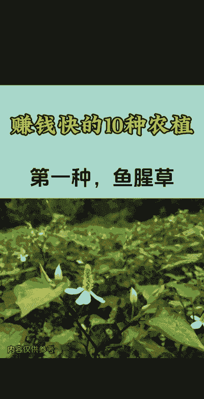 农村种植什么赚钱快