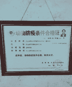 养鸡需要什么证件