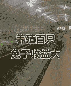 养植什么动物最赚钱