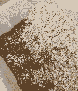 发酵床是什么东西