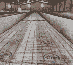 猪圈地面用什么好