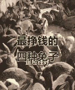 养什么品种的兔子赚钱