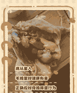 母鸡下小蛋是什么原因