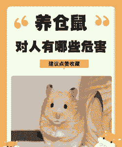 养小白鼠有什么危害吗