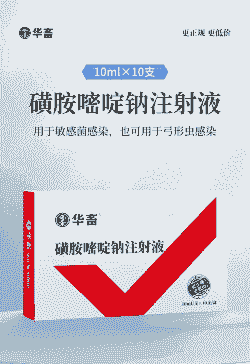 猪反复发烧用什么药好