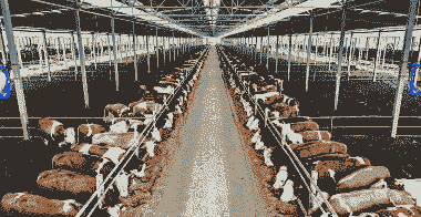 养殖是什么行业