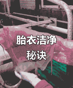 母猪产后胎衣处理