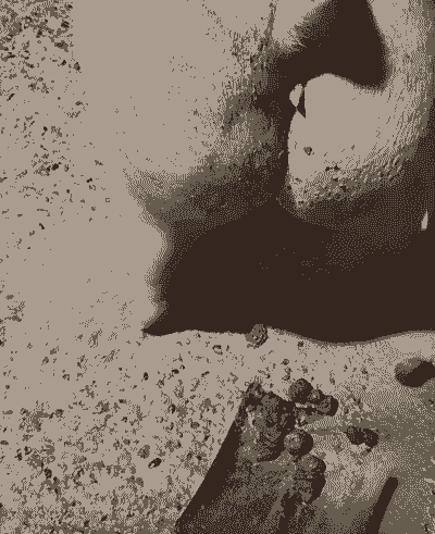 母猪产后拉屎干