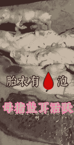 母猪产后胎衣血红