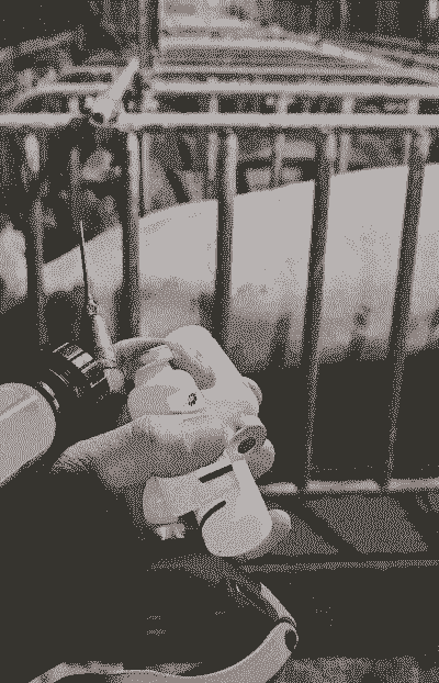 母猪产后保健打针