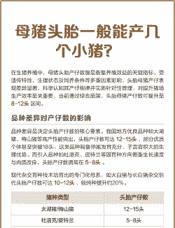 母猪产后需要多久