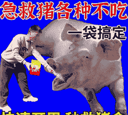 母猪产后不吃饭