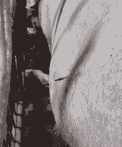 母猪产后肚胀气