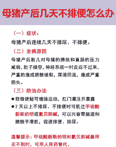 母猪产后不通便