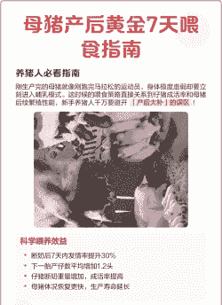 母猪产后喂食配方