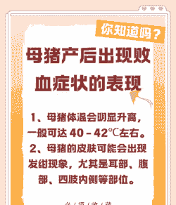 母猪产后流血怎么处理