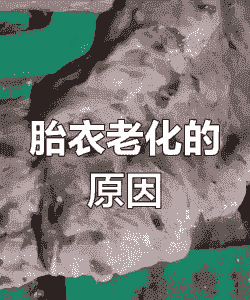 母猪产后衣胎不掉