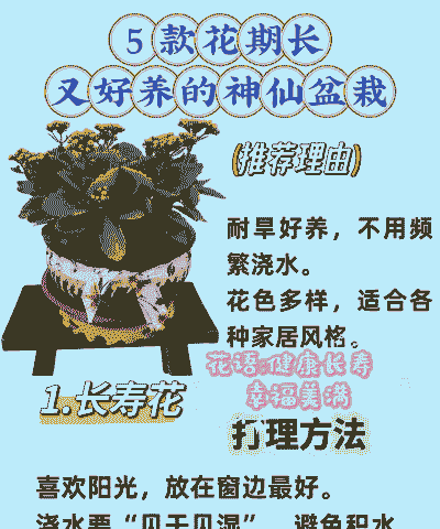 母猪产后起不起来