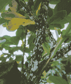 母猪产后必须输液吗