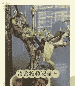 母猪为啥产后不食食