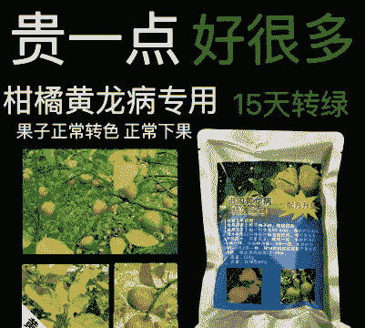 母猪产后输液操作流程