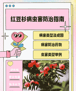 母猪产后清宫的用药