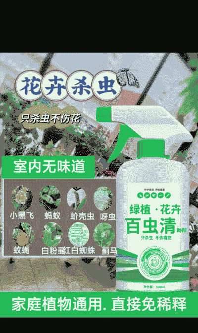 母猪产后不吃食20