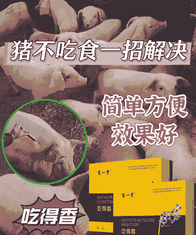 母猪产后不吃怎样配药
