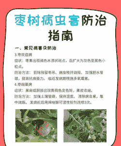 母猪产后后分泌液体