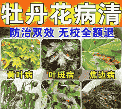 母猪产后多久才会产仔