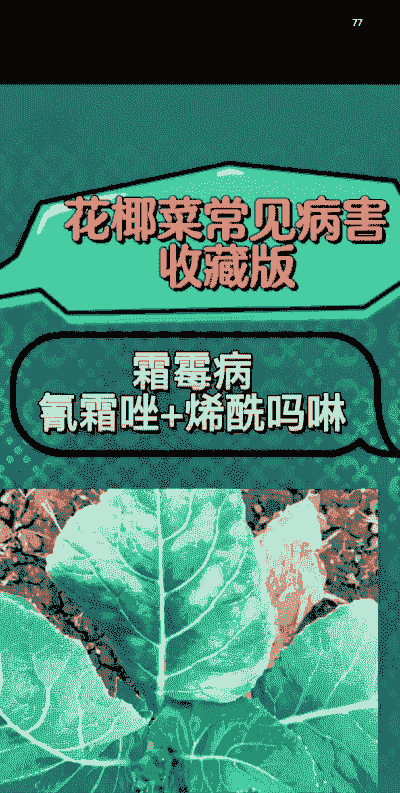 母猪产后需要清宫几次