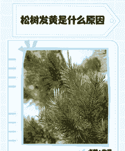 母猪流产后大喘气